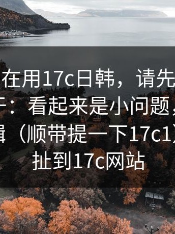 如果你也在用17c日韩，请先看完：但重点在于：看起来是小问题，背后是系统逻辑（顺带提一下17c1）｜还牵扯到17c网站