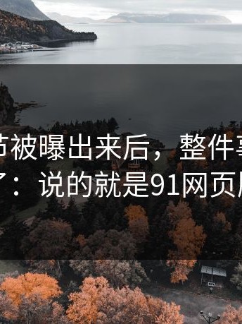 片场细节被曝出来后，整件事更合理了：说的就是91网页版