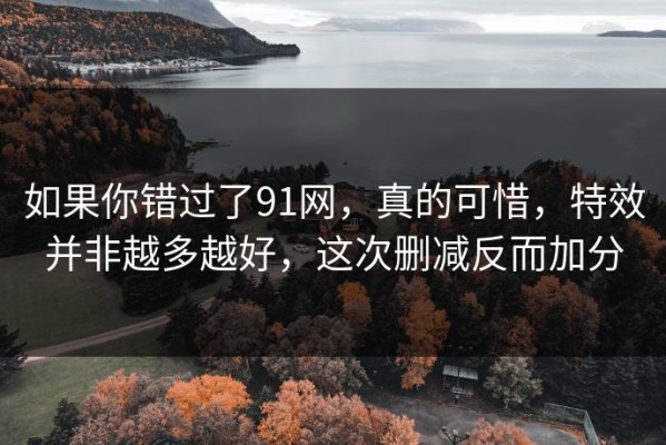 如果你错过了91网，真的可惜，特效并非越多越好，这次删减反而加分