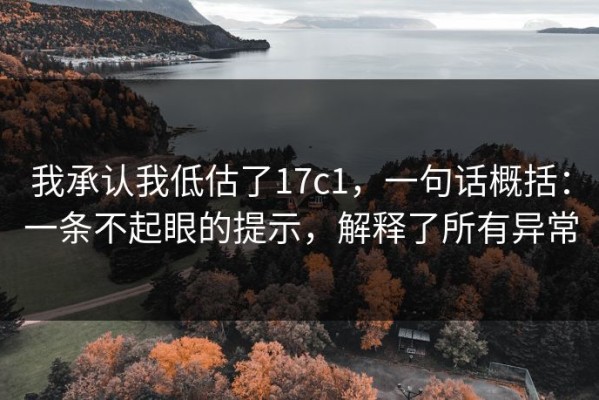我承认我低估了17c1，一句话概括：一条不起眼的提示，解释了所有异常