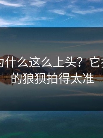 91在线为什么这么上头？它把普通人的狼狈拍得太准