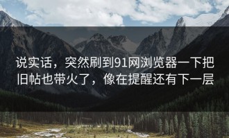 说实话，突然刷到91网浏览器一下把旧帖也带火了，像在提醒还有下一层