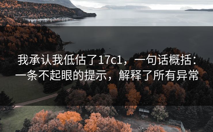 我承认我低估了17c1，一句话概括：一条不起眼的提示，解释了所有异常