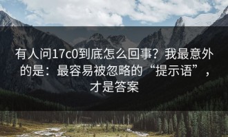 有人问17c0到底怎么回事？我最意外的是：最容易被忽略的“提示语”，才是答案