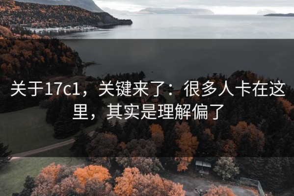 关于17c1，关键来了：很多人卡在这里，其实是理解偏了