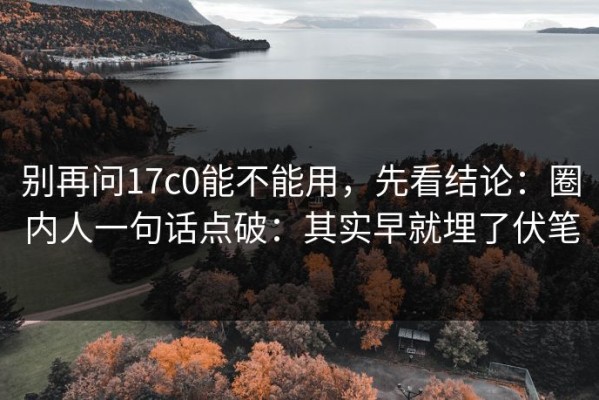 别再问17c0能不能用，先看结论：圈内人一句话点破：其实早就埋了伏笔