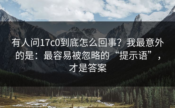 有人问17c0到底怎么回事？我最意外的是：最容易被忽略的“提示语”，才是答案