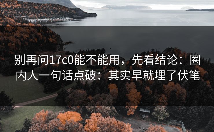 别再问17c0能不能用，先看结论：圈内人一句话点破：其实早就埋了伏笔