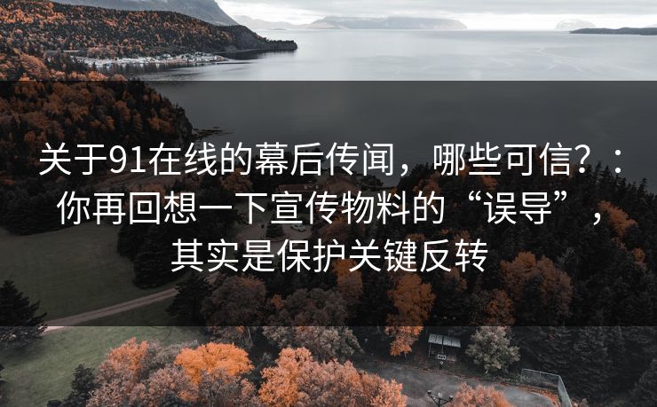 关于91在线的幕后传闻，哪些可信？：你再回想一下宣传物料的“误导”，其实是保护关键反转